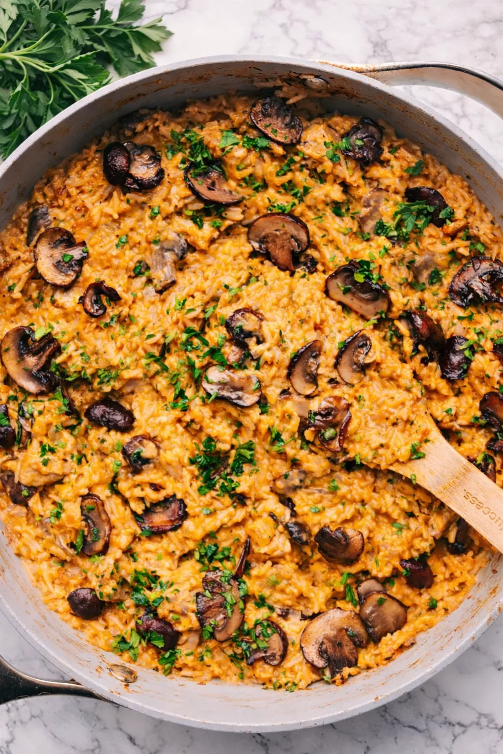 Smothered Chicken and Rice